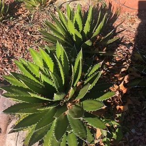 Meet your Posher, Biljana